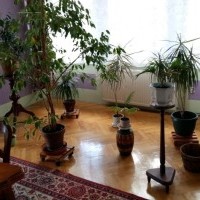 Alloggio economico in villa vicino a Danzica, resto in Polonia